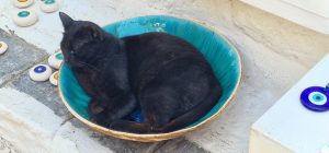 Hydra Island with Athens Day Cruise Hydra Island with Athens Day Cruise