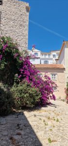 Hydra Island with Athens Day Cruise Hydra Island with Athens Day Cruise