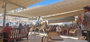 Hydra Island with Athens Day Cruise Hydra Island with Athens Day Cruise