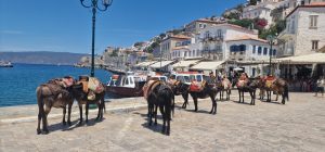 Hydra Island with Athens Day Cruise Hydra Island with Athens Day Cruise