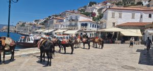 Hydra Island with One Day Cruise Hydra Island One Day Cruise