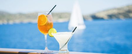 Athens 1-Day VIP Swimming Cruise to Agistri, Metopi & Aegina - Image 3